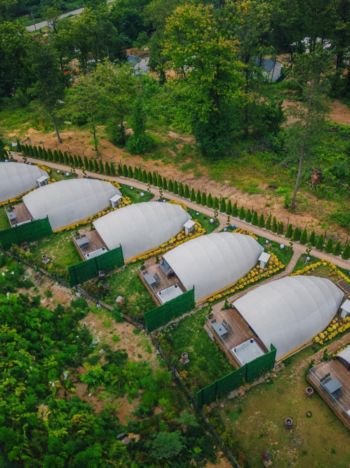 Snail House Sapanca Bed & Breakfast Ngoại thất bức ảnh
